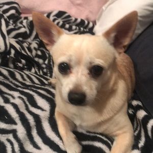 Meet your Posher, Camilla